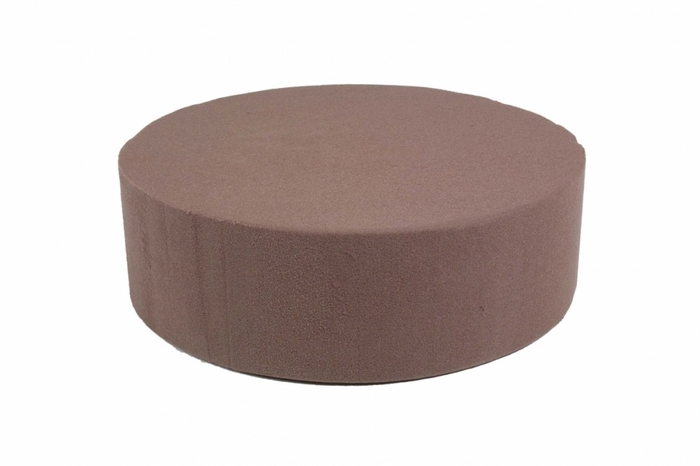 OASIS BIO CAKE 22CM 2PCS -BIO-