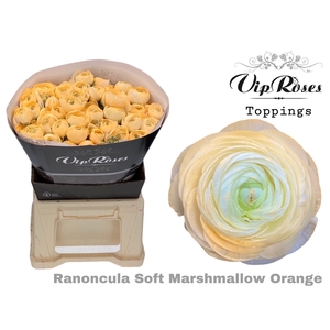 Ran Vip Soft Marshmallow Orange