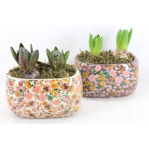 arr4 Hyacint FL - Late fashion ovaal