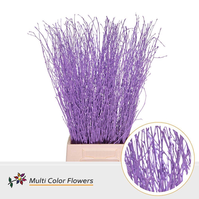 <h4>Betula Birch Lavender</h4>