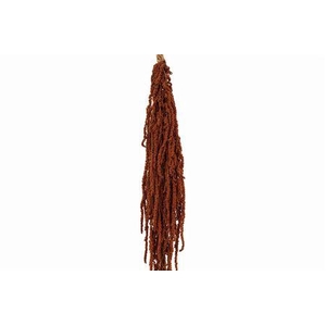 Preserved amaranthus paint brown