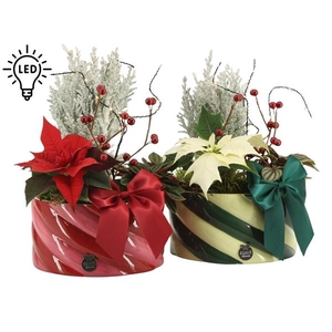 61779: X-mas arrangement