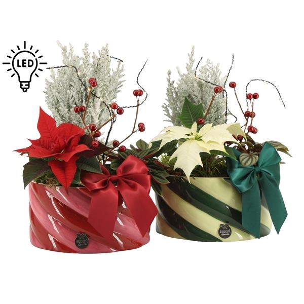 <h4>61779: X-mas arrangement</h4>