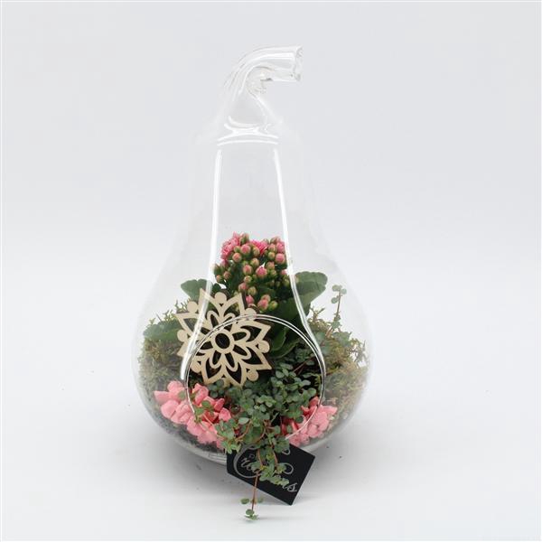 <h4>ESCR-2503RZ Essentials terrarium</h4>