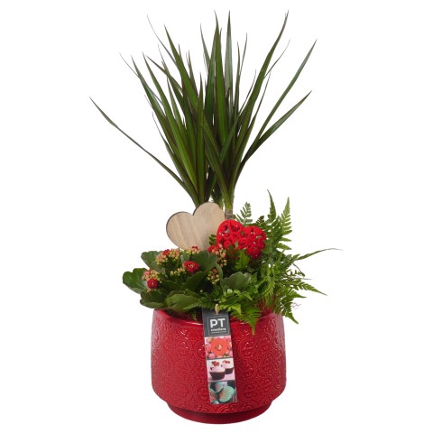 <h4>PTVMB4712 Arrangementen kamerplanten</h4>