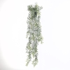 Acacia Hanging Plant in Pot Green GR110052GRN