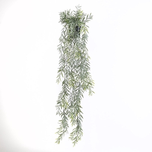 ACACIA HANGING PLANT IN POT GREEN G L90
