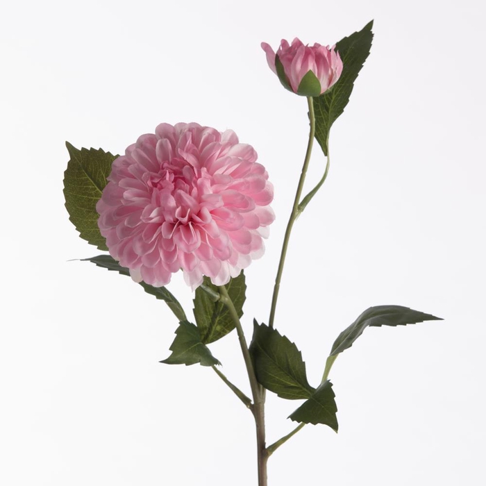 <h4>Af Dahl Pompon X2 L61cm L.pink</h4>