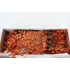 PF EUC STUART ORANGE BS 150GR