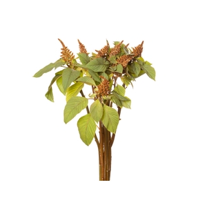 AMARANTHUS DOBRADO 060 CM BRONZE