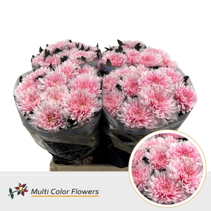 Chr G Undercover Soft Pink