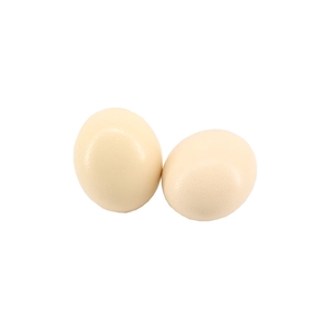 Ei Struisvogel (24pcs)