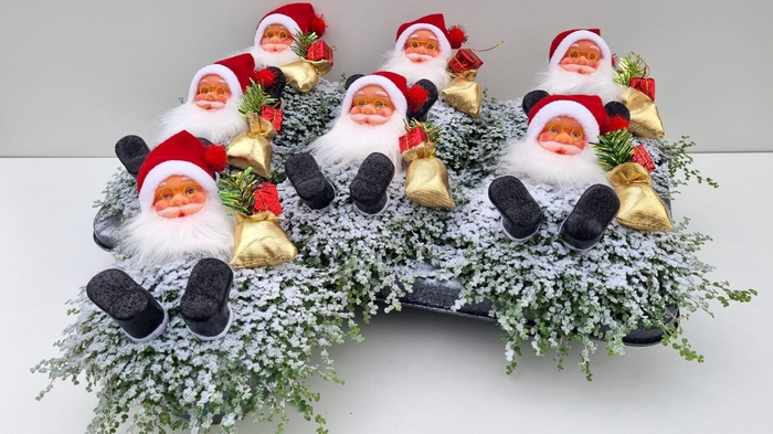 <h4>SOLEI SOL GROEN</h4>