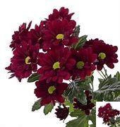 <h4>CHR T MEXICANO</h4>