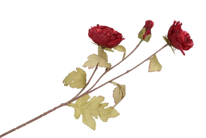 <h4>Silk Poppy 3x Fuchsia 76cm Nm</h4>