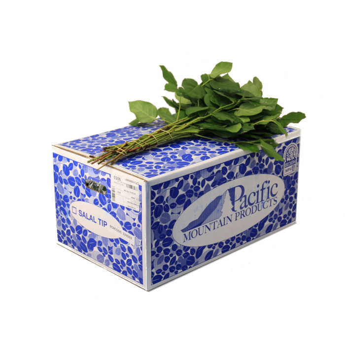 <h4>SALAL TIPS  GREEN DIAMOND AIR</h4>