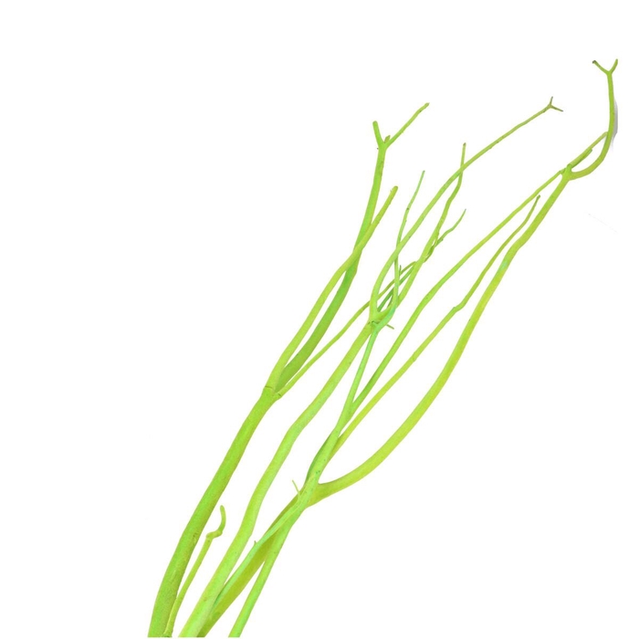 <h4>Dried articles Mitsumata flock 115cm x3</h4>