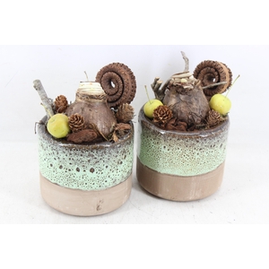 arr4 Amaryllis MB - Ker. pot luxe 338/8