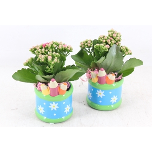 arr2 JS - Ker. pot pencil - roze