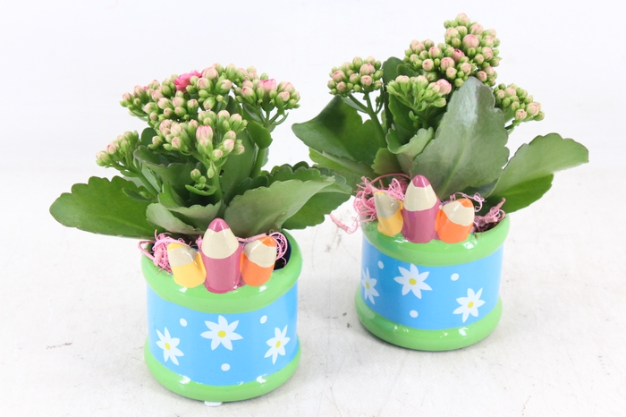<h4>arr2 JS - Ker. pot pencil - roze</h4>