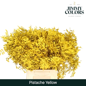 Pistache L45 Yellow