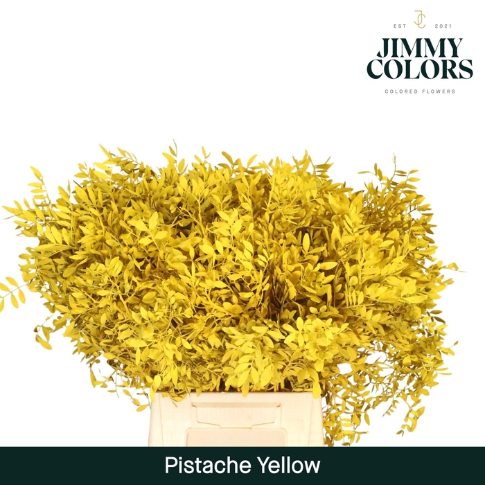 <h4>Pistache L45 Yellow</h4>