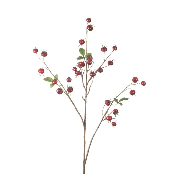 <h4>AF Rosehip Pumpkin Sp L102cm R</h4>