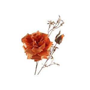 Rosa Spray Orange