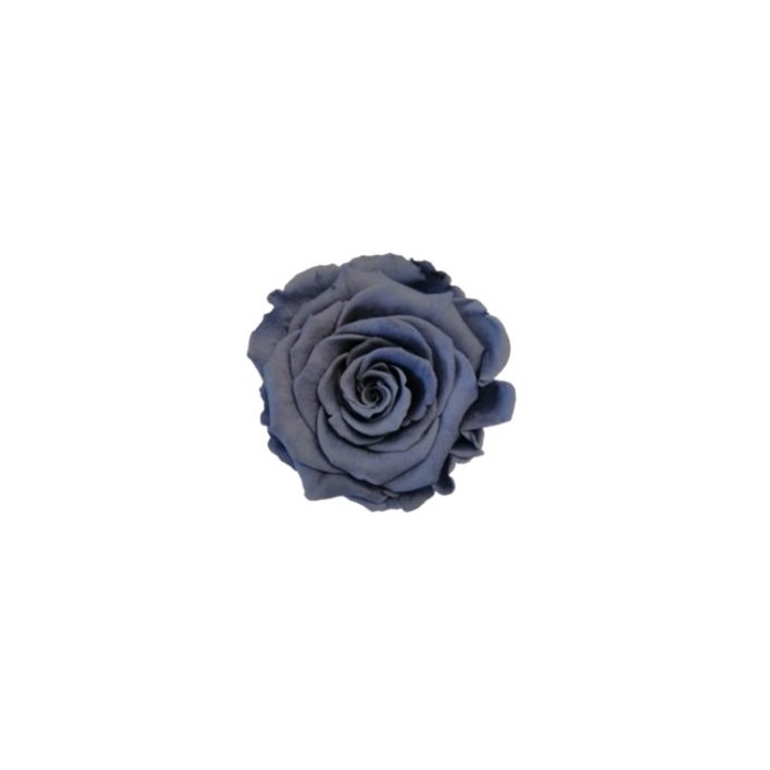 <h4>Rose stabi XL gry-01</h4>