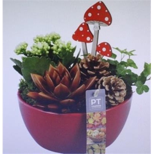 5562 KER ROOD HERFST