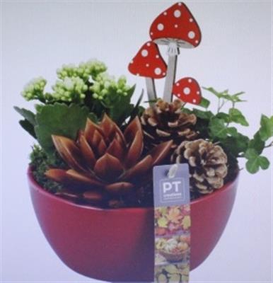 <h4>5562 KER ROOD HERFST</h4>