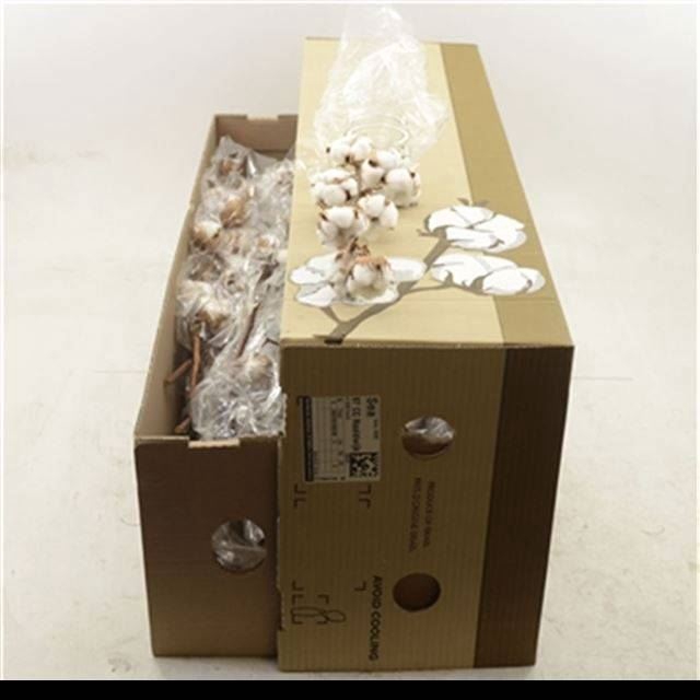 <h4>GOSSYPIUM HIRS.    ...WHITE</h4>