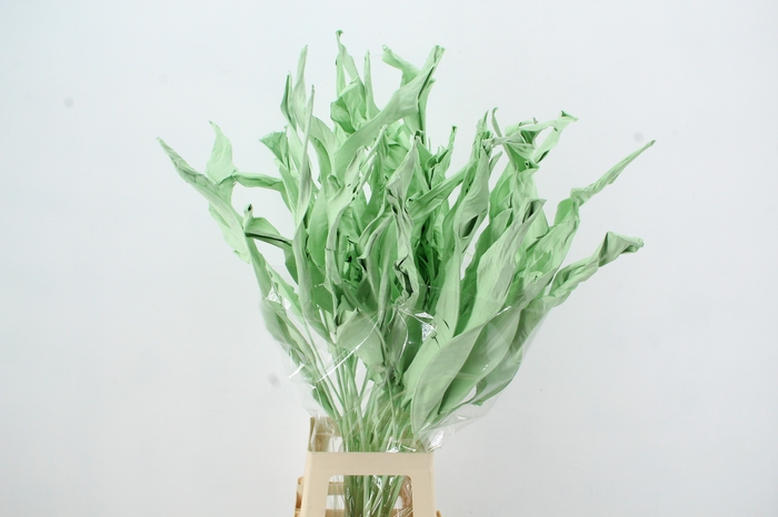 <h4>DF Strelitzia Leaf Mint Green</h4>