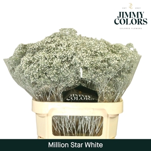Gyps Million Star L80 White