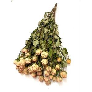 DROOG ROSES SPRAY ZALM