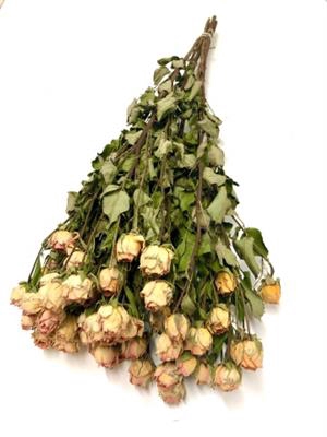 <h4>DROOG ROSES SPRAY ZALM</h4>