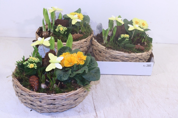 <h4>ARR PL IN SCHAAL</h4>