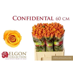 R GR CONFIDENTIAL