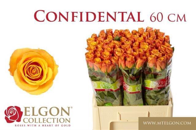 R GR CONFIDENTIAL
