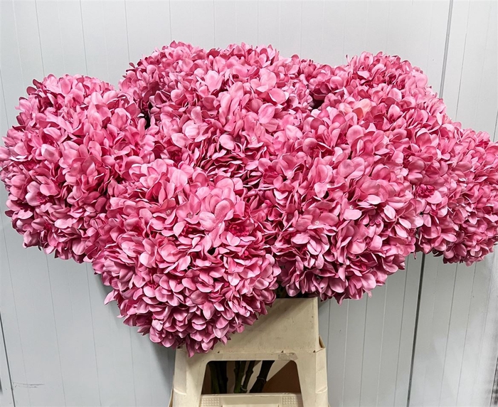 <h4>Deco Stem Hydrangea Cerise X3 L111d30</h4>