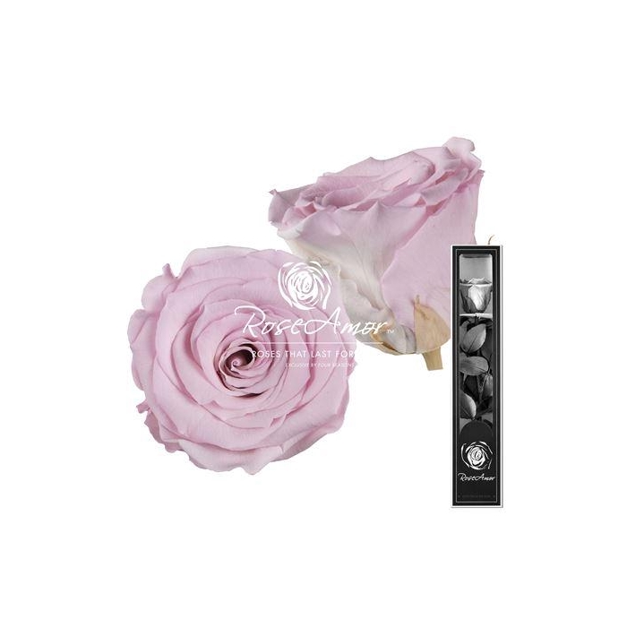 <h4>30cm Stem Bic07</h4>