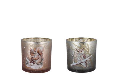 <h4>Ruby Brown T-light Squirrel/owl Ass 8x8cm</h4>