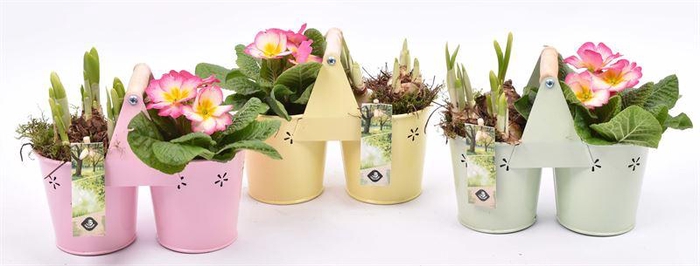 <h4>Zink duopot kl. mix 21x10cm</h4>