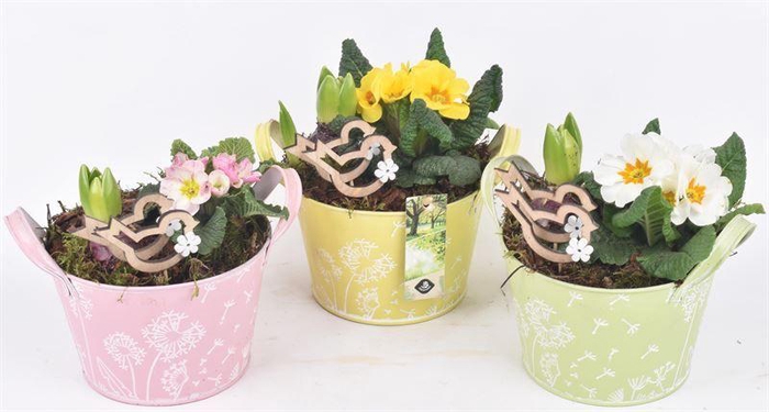 <h4>Zink schaal decor mix kl 15.5cm</h4>