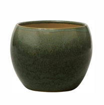 <h4>VASO LORANCE MUSGO D21 A18 IMP</h4>