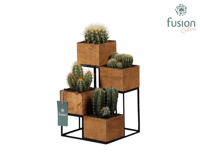 <h4>Tower hout met metaal met Cactussen</h4>