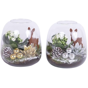Christmas Arr. Indoor Glass Vase Terrarium Round Ø19cm 2PP