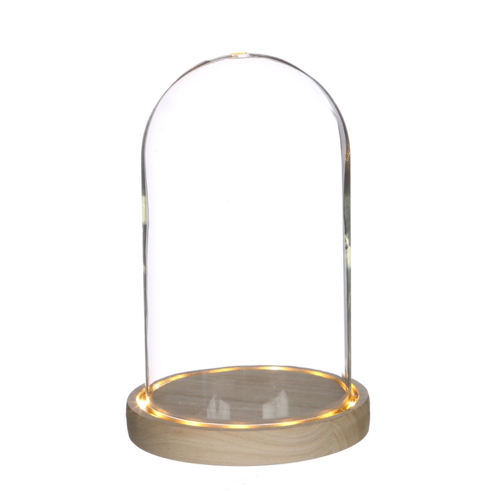 Glass Cloche LED d14*21.5cm batt.incl.