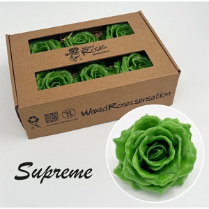 Zijde R Supreme Groen Wx