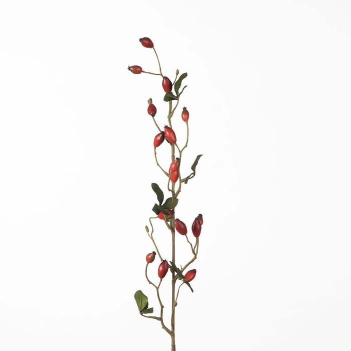 <h4>Af Rosehip Zaffiro Sp L84cm Re</h4>